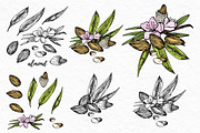 Nuts and snacks, a Food Illustration by Ann Astro (Thumbnail 15 of 24)