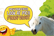 Cute Roliya – Fresh & Friendly Font, a Handwritten Font by socutefont (Thumbnail 3 of 10)