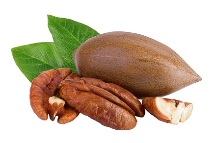 broken pecan nut isolated on white, a Food & Drink Photo by NataPhoto