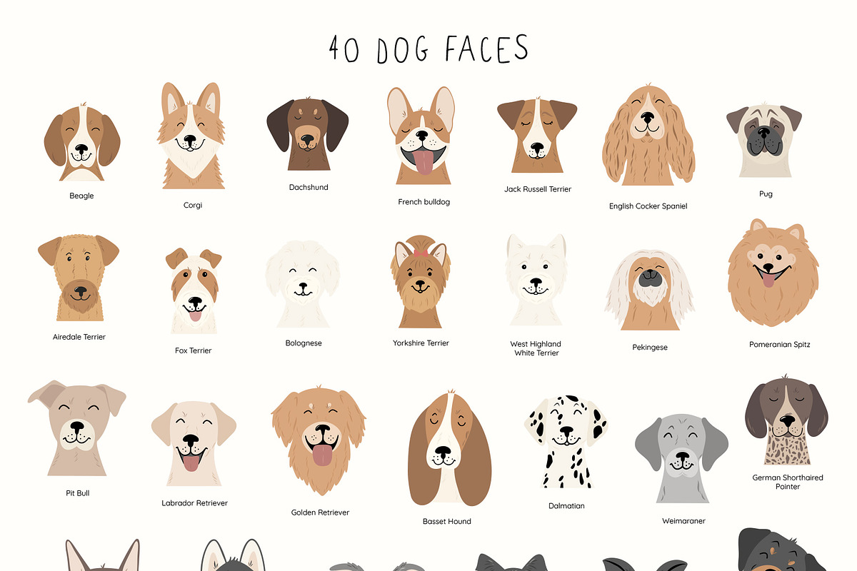 DOG Breeds collection, an Animal Illustration by Alisovna (Photo 3 of 14)