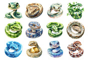 Watercolor Snakes Clipart, an Illustration by SinaCreation (Thumbnail 2 of 5)