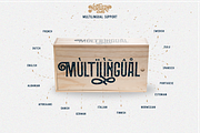 Northern Vintage Monoline Script, a Serif Font by Angin Studio (Thumbnail 12 of 17)