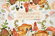 Watercolor Mushrooms, an Illustration by annasokol_ (Thumbnail 1 of 7)