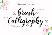 Delighted Script, a Script Font by Unicode Studio (Thumbnail 8 of 10)