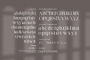Jagiko Elegant Ligature Serif Font, a Serif Font by Perfectype (Thumbnail 8 of 8)