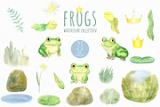 Watercolor Frogs Clipart PNG, an Animal Illustration by NataliArkushArt (Thumbnail 3 of 13)