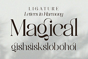 Bolqito - Elegant Luxury Serif Font, a Serif Font by Qweera Studio (Thumbnail 9 of 12)