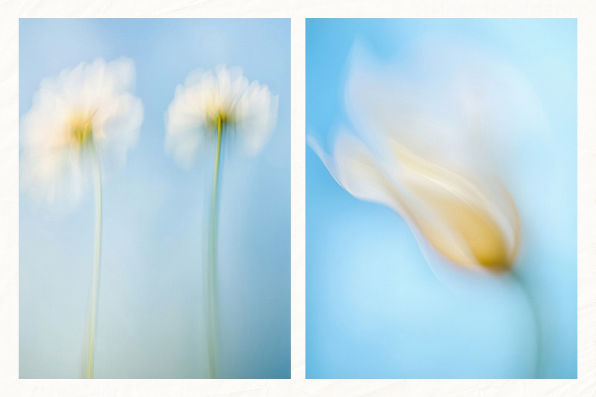 30 Soft Blurred Florals Backgrounds, a Background Graphic by lerinartstudio (Photo 4 of 13)