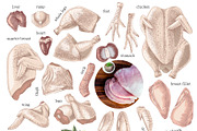 Ultimate meat set. Meat market, a Food Illustration by handsketched (Thumbnail 5 of 17)