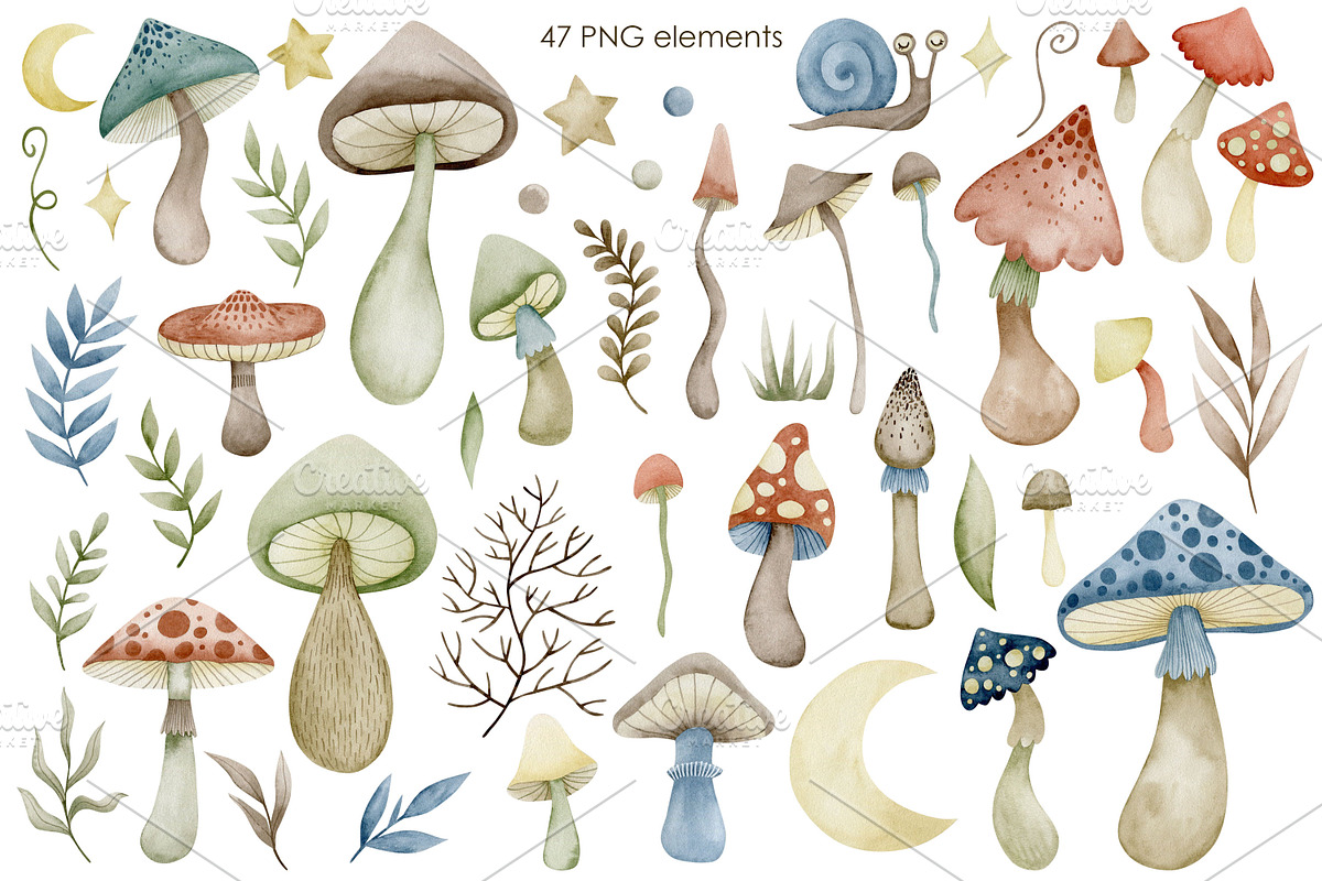 Watercolor mushrooms collection., a Decorative Illustration by Kira Konoshenko (Photo 2 of 12)