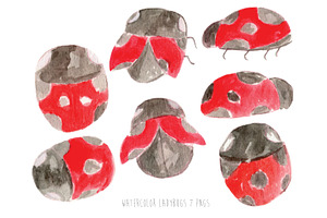 Watercolor Ladybugs
