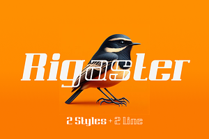 Rigaster Font