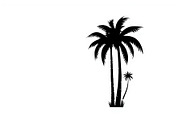 Palm Tree Vector Bundle Pack, an Illustration by Artivon (Thumbnail 7 of 20)