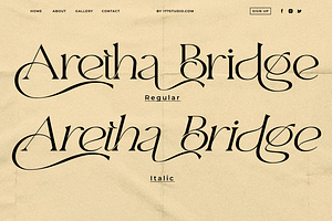 Aretha Bridge - Modern Serif Font