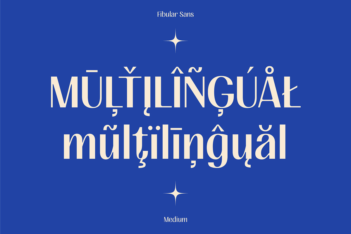 FIBULAR SANS - Variable Display Type, a Sans Serif Font by Artflorara (Photo 17 of 23)