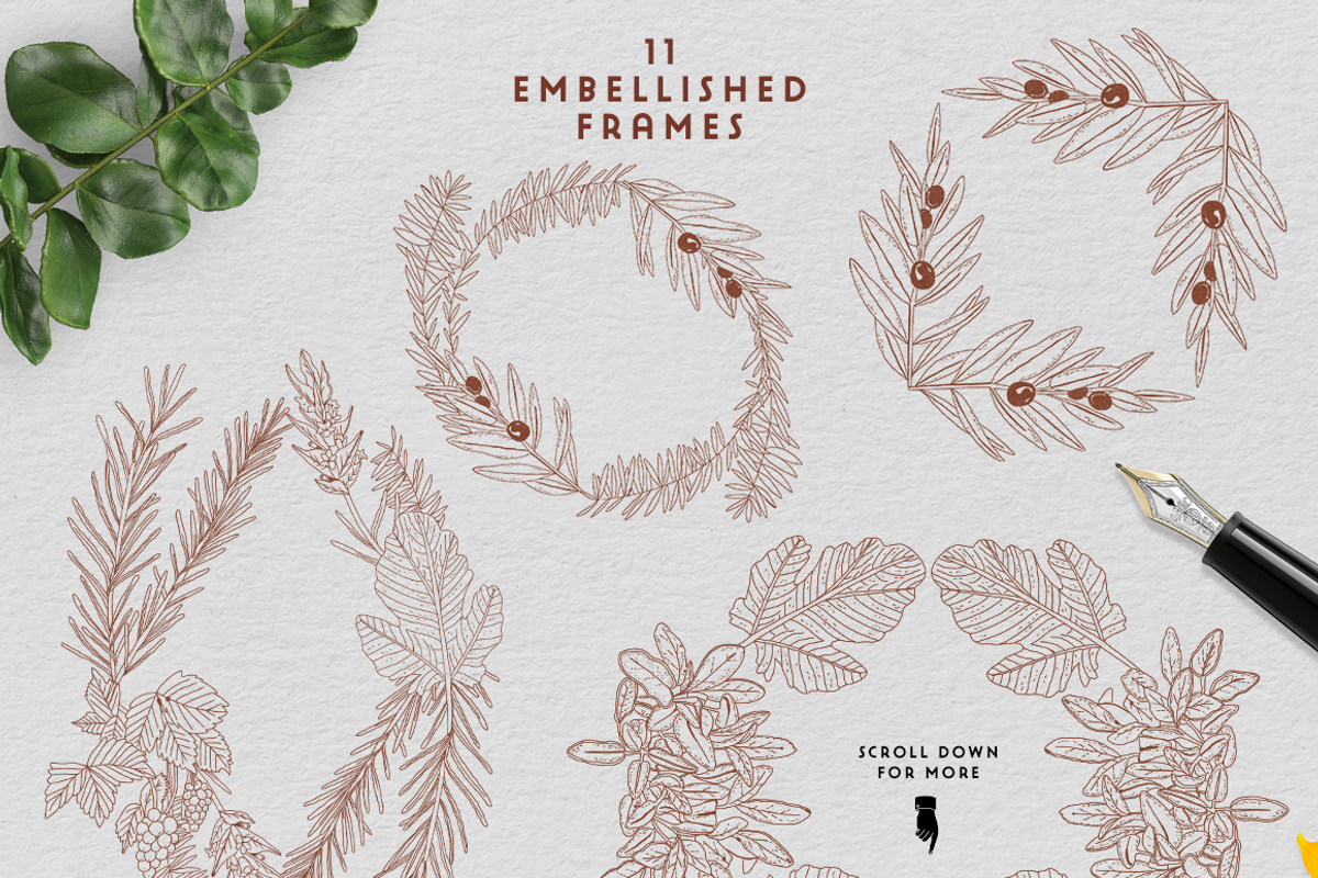 Tuscany Wedding Design Set, a Decorative Illustration by Mente Volante Studio (Photo 3 of 7)