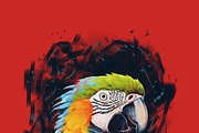 Automated Photoshop Painting Effect, a Preset Add-On by MRI STUDIO (Thumbnail 17 of 29)