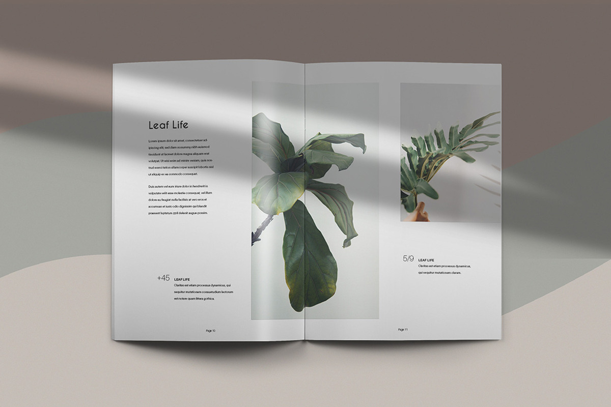 Quaro & Gillen - Botanical Brochure, a Magazine Template by KAZ by IanMikraz Studio (Photo 7 of 11)