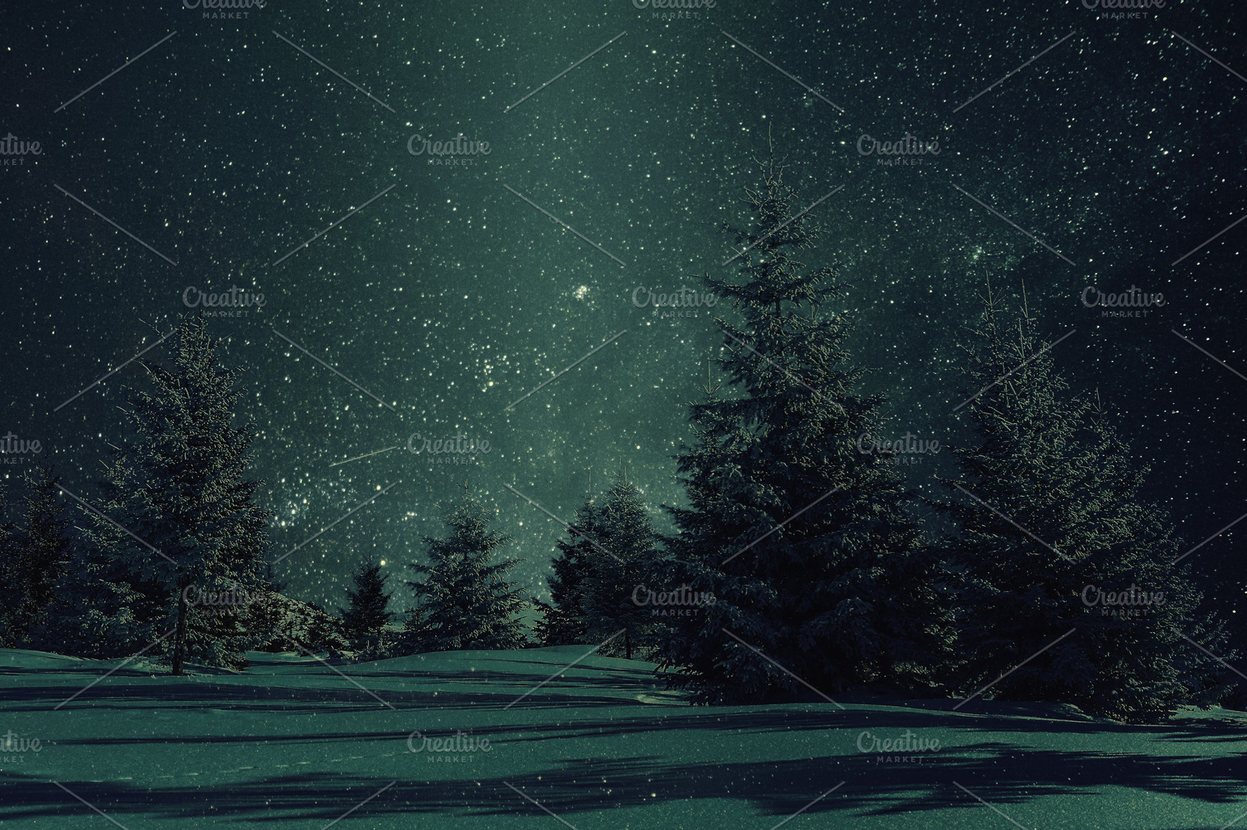Night winter landscape and stars, a Photo by firewings