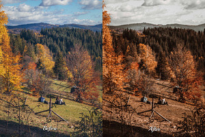 25 Autumnal Photoshop Actions