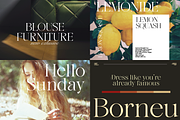 Gladier - A Modern Serif Font, a Serif Font by Comactype Foundry (Thumbnail 15 of 22)