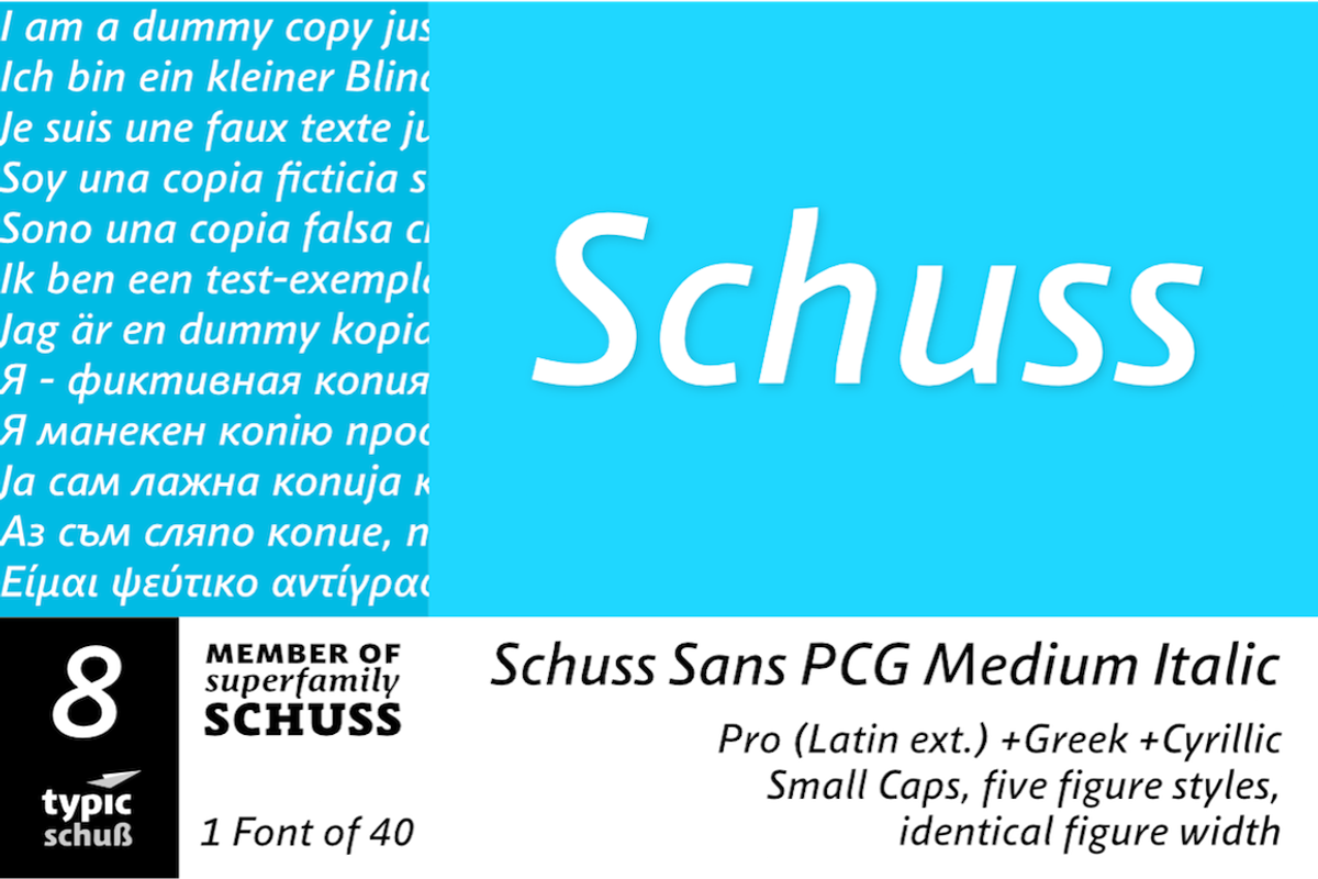 SchussSansPCGMedIta No.08 (1 Font)