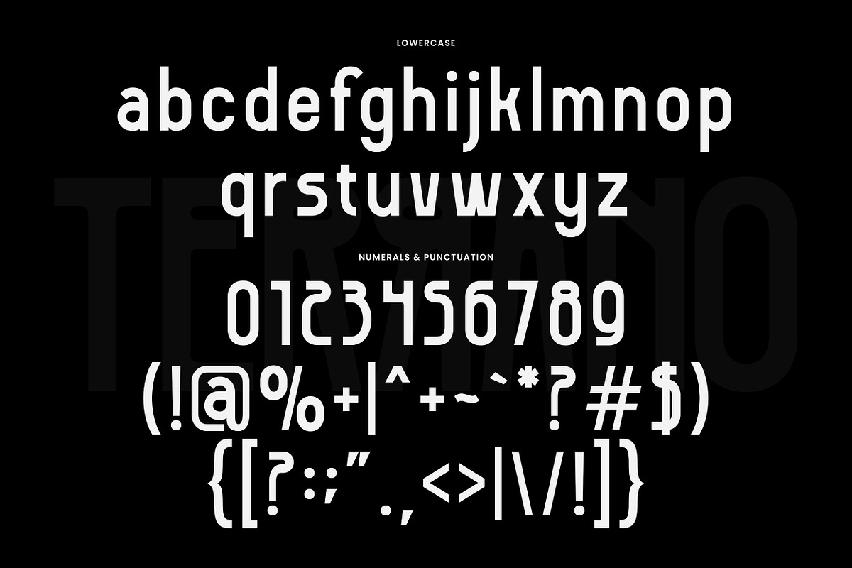 Terrano - Display Sans Serif Font, a Sans Serif Font by Mahesans Co (Photo 12 of 12)