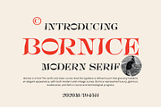 Bornice Modern Serif, a Serif Font by Damelev (Thumbnail 1 of 13)