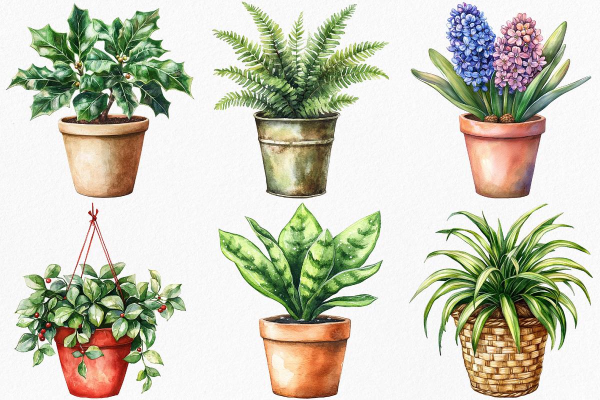 Christmas Houseplants Clipart, an Illustration by Canvas Craft (Photo 4 of 8)