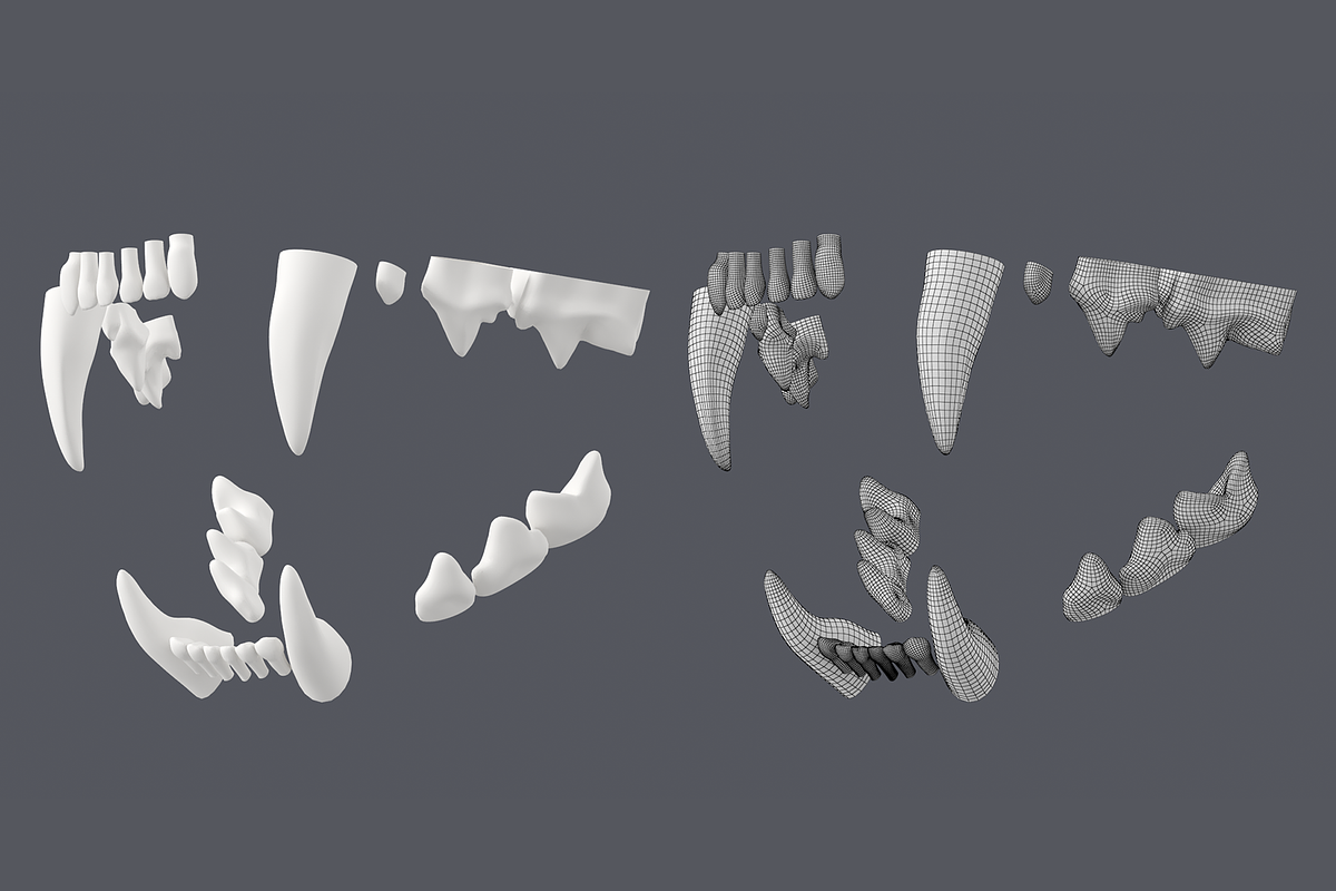 Cat Skull Base Mesh, an Animal 3D Model by VK Studio (Photo 8 of 8)