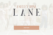 Golden Bird Serif font + Cool Extras, a Serif Font by VP Fonts (Thumbnail 6 of 13)