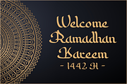 Sabana, an Arabic Style Font, a Script Font by Motokiwo (Thumbnail 3 of 10)