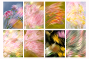 +38 Petal Haze Dreamy Blurred Flower, a Background Graphic by The Journey Atelier (Thumbnail 12 of 17)