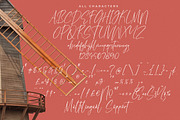 Amsterdam Silhouete Modern Script, a Script Font by stylishtype.co (Thumbnail 18 of 20)