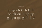 Paragon Elegant Classic Font, a Serif Font by Graphicxell (Thumbnail 8 of 8)