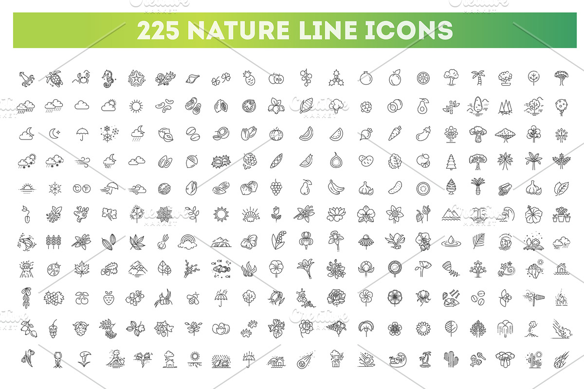 Big natural icon set, an Outline Icon by Tettygreen (Photo 1 of 4)