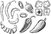 Chilli Papper, a Food Illustration by Elena Mykhailenko (Thumbnail 3 of 4)
