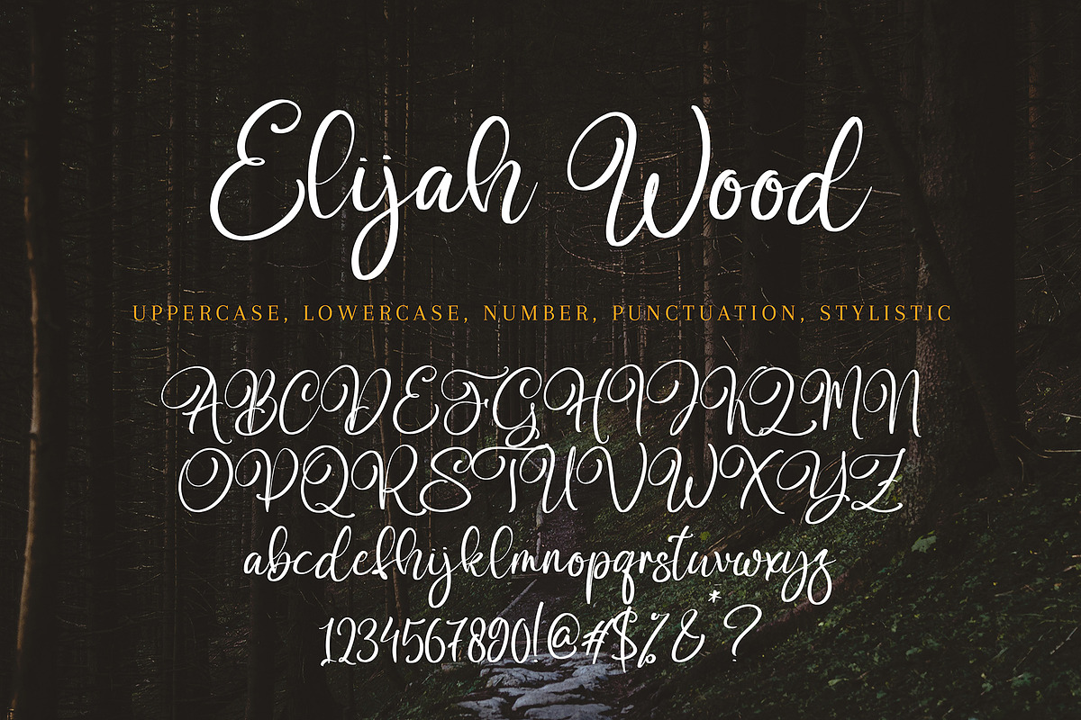 Elijah Wood, a Handwritten Font by HaKi Studio (Photo 5 of 5)