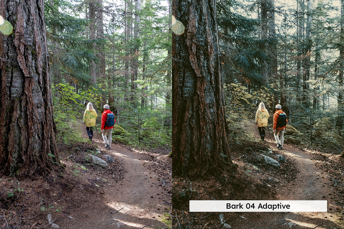 20 Vintage Nature Lightroom Presets, a Preset Add-On by SparkleStock (Photo 6 of 17)