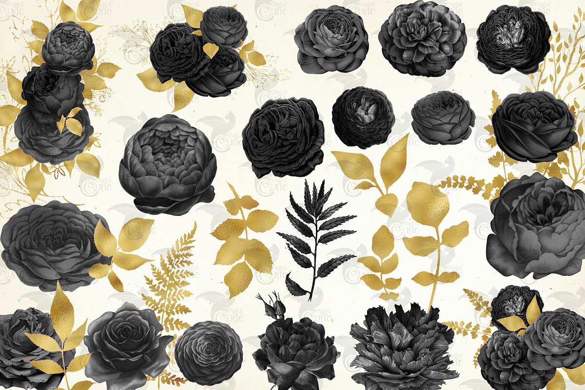 Black and Gold Floral Elements, an Illustration by Digital Curio (Photo 2 of 3)