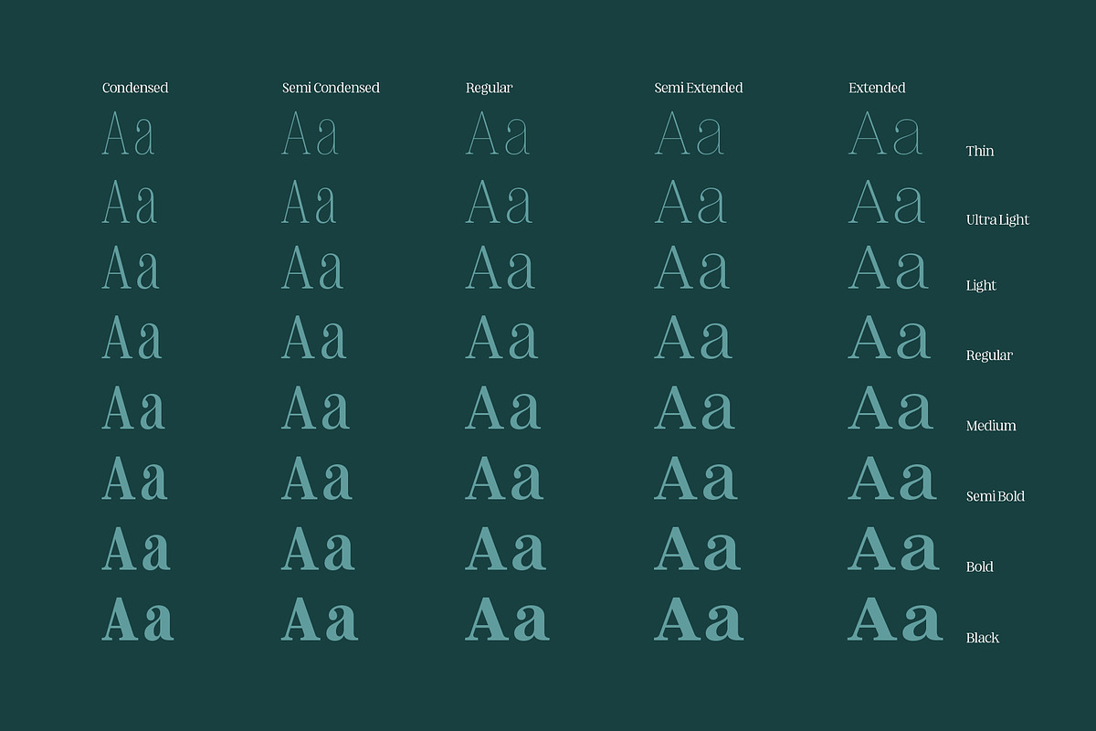 Nevoa Regular, a Serif Font by OceaneM (Photo 2 of 7)