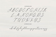 Geraldyn Brushko | Modern Calligraph, a Script Font by Denustudios (Thumbnail 11 of 13)