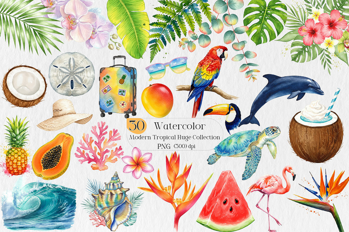 Modern Tropical Huge Collection, an Illustration by Creative Art (Photo 1 of 9)