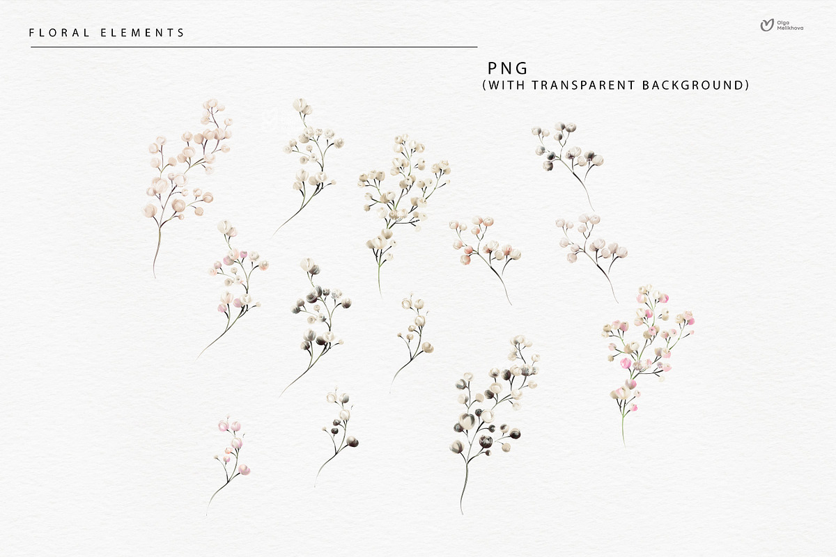 Gypsophila - watercolor flowers, an Object Illustration by ollalya (Photo 6 of 8)