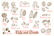 Nuts and Seeds - Food Clipart, a Food Illustration by Baksiabat (Thumbnail 2 of 6)