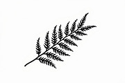 Elegant Fern Leaf Silhouette Bundle, an Illustration by Designs_River (Thumbnail 9 of 9)
