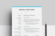 Resume, a Resume Template by paulresume (Thumbnail 2 of 3)