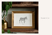 Zebra & Giraffe Illustrations - PNGs, an Animal Illustration by LaurenFittonIllustration (Thumbnail 4 of 9)