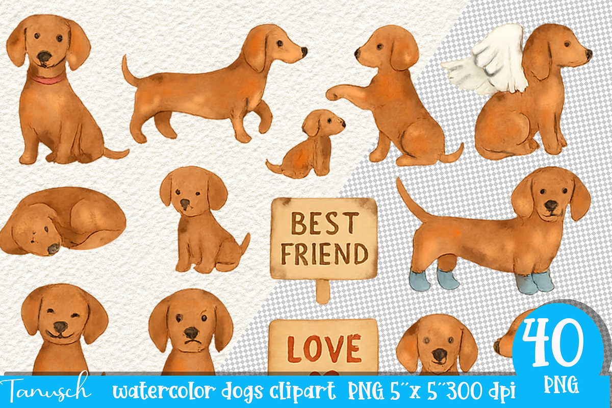 Watercolor Dog - Dachshund CLIPART, an Animal Illustration by TanuschArts (Photo 4 of 6)
