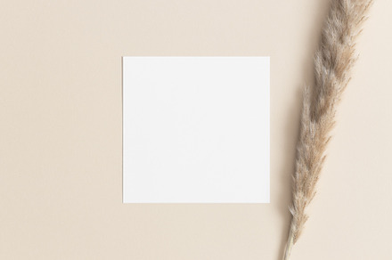 Square invitation card mockup, JPEG, an Arts & Entertainment Photo by Snoflinga